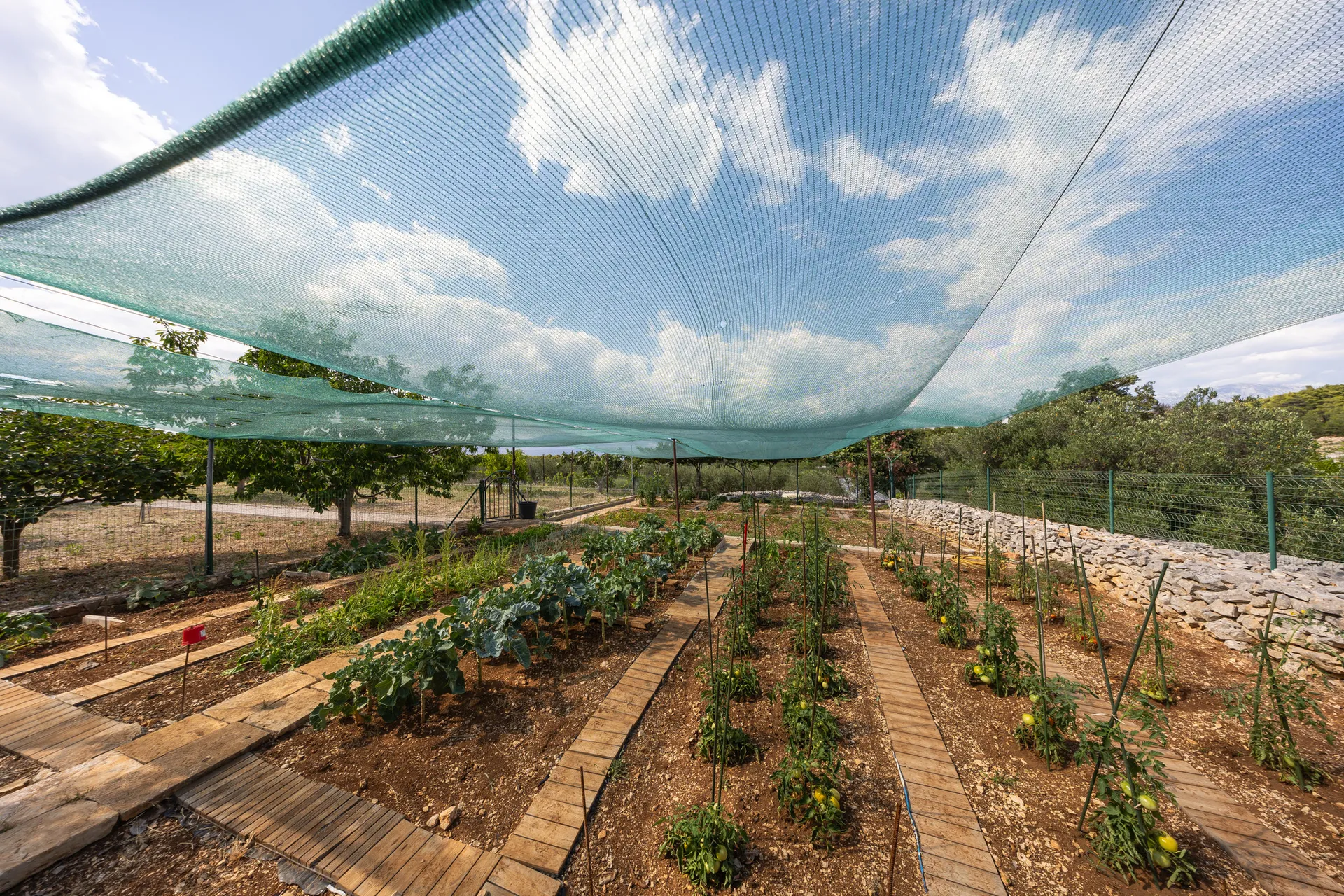 Unique Self-sustainable Agricultural Estate in Supetar, Island Brač, Supetar, Croatia, photo 6