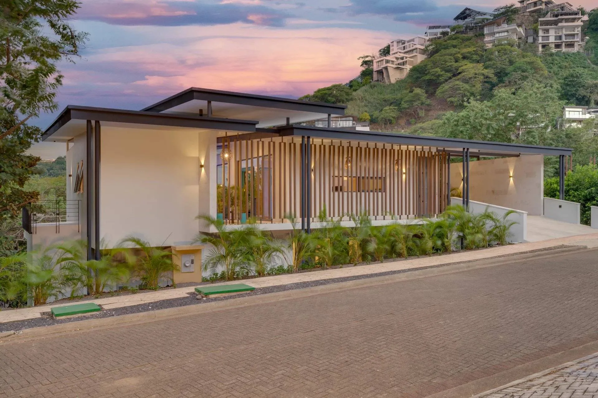 Contemporary Luxury Surrounded by Nature in Senderos, Tamarindo, Tamarindo, Costa Rica, photo 2