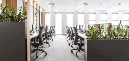 Msida General Office