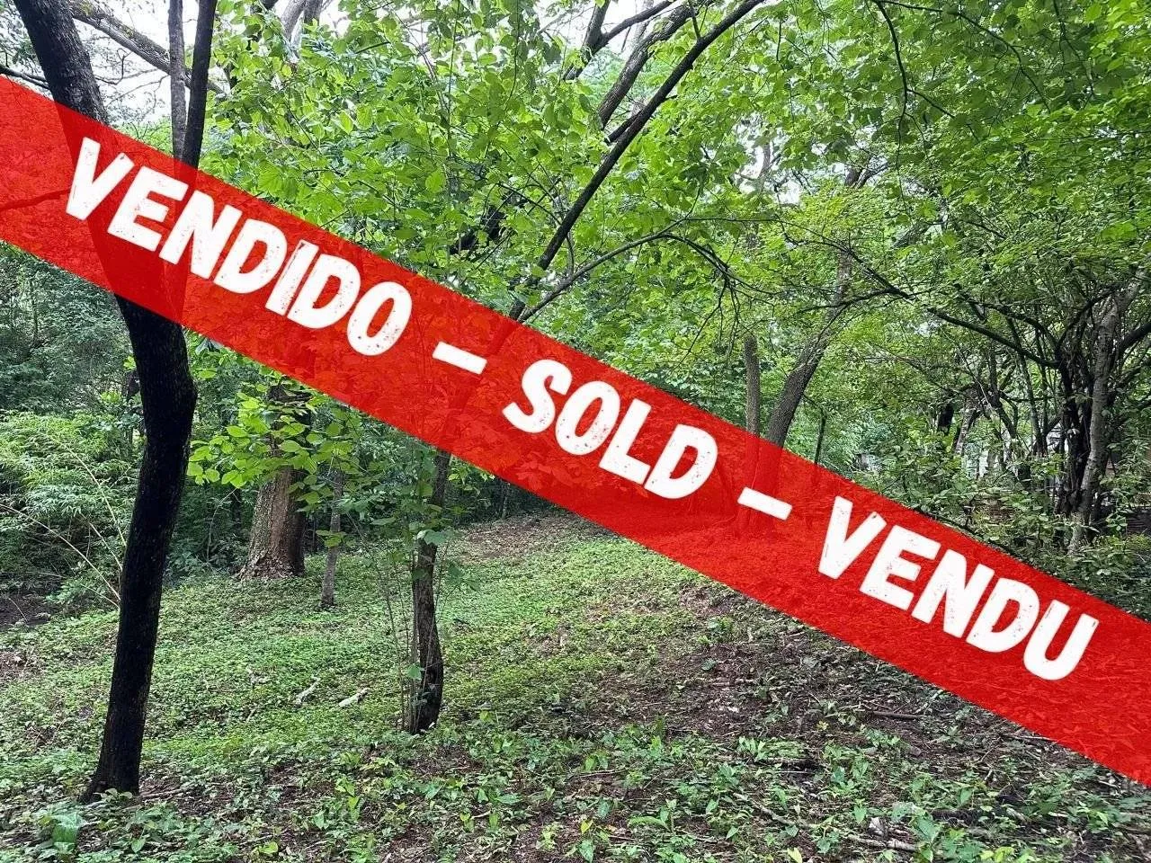 VENDIDO – Terreno de 1240 m2 en Santa Rosa, en una zona verde y tranquila.
