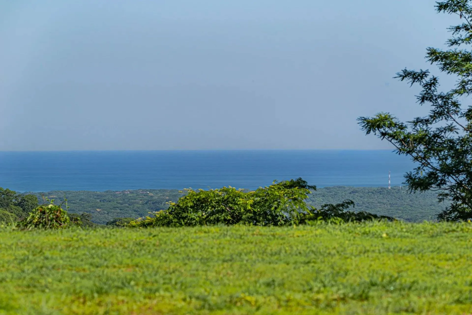 Lotes Exclusivos con Vistas al Océano y Montaña cerca de Playa Avellanas