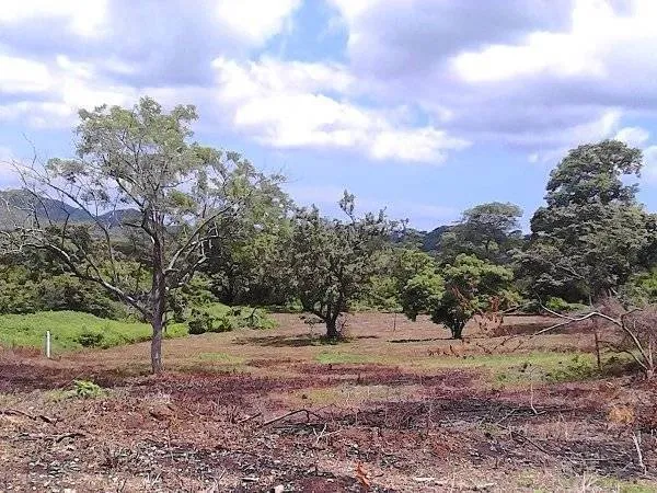 UNDER CONTRACT – 4120 m² Plot Just Minutes from Tamarindo