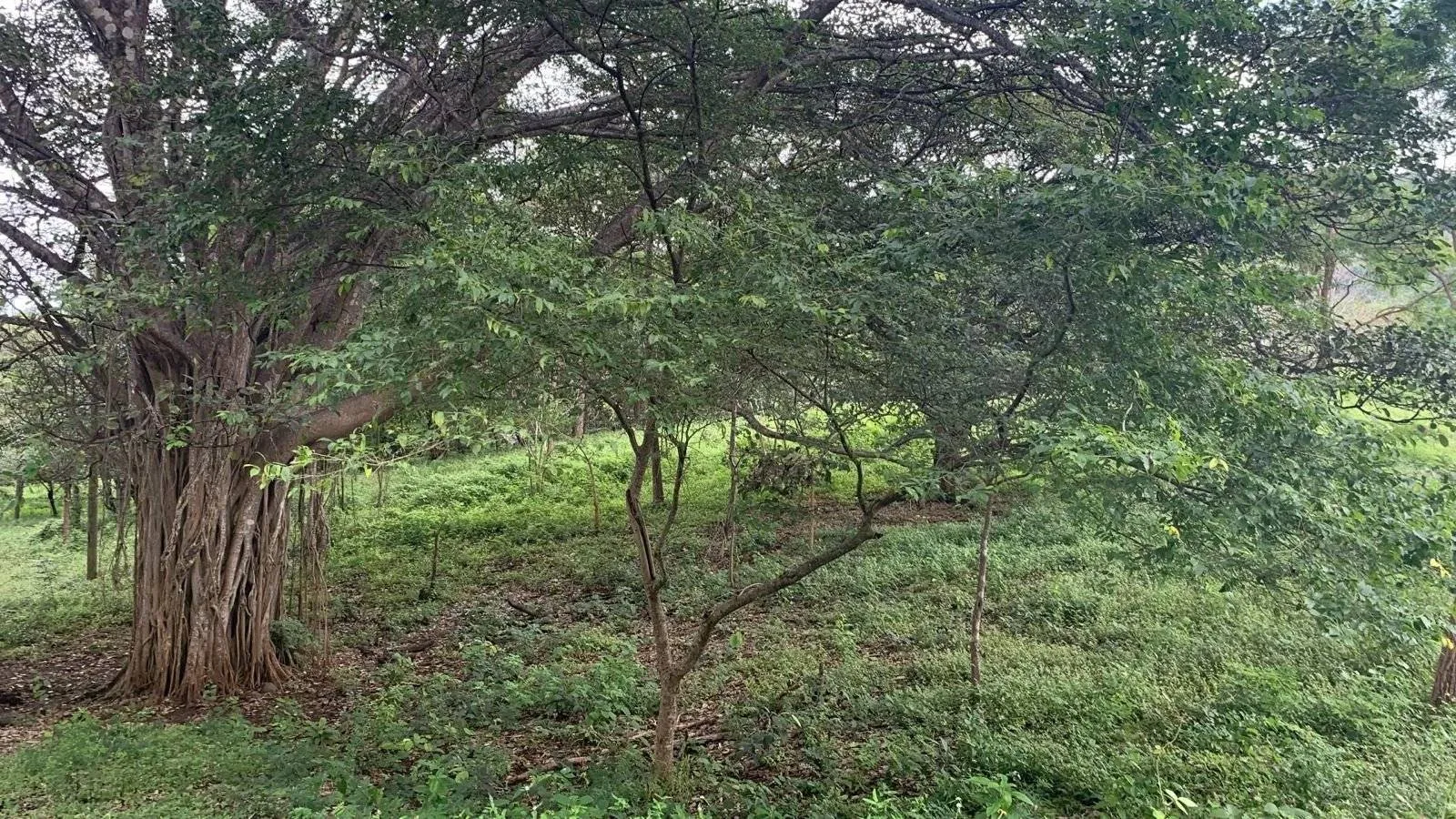Projets résidentiels de terrains à usage résidentiel et commercial à Huacas