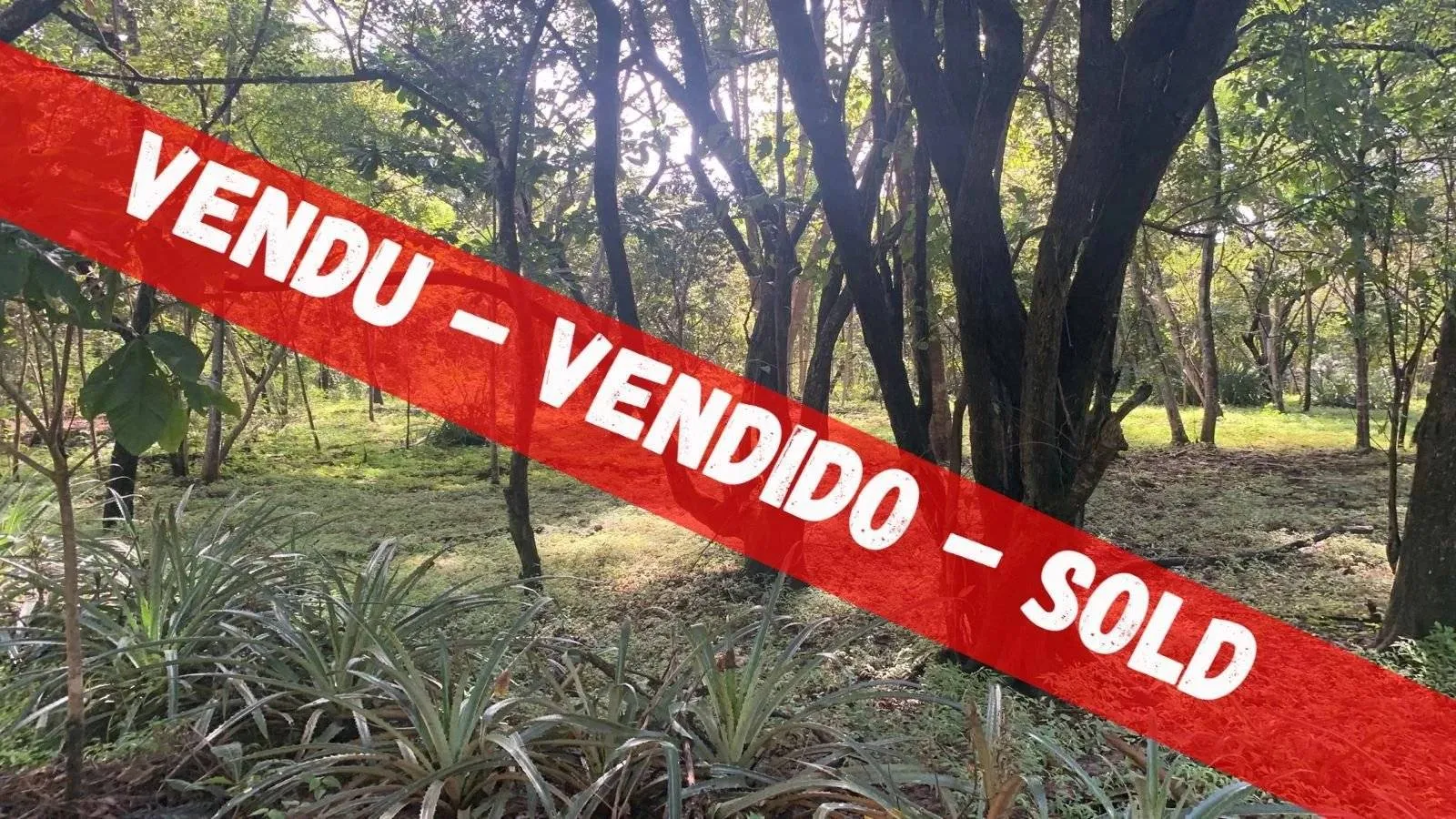 VERKAUFT – 5.885 m² Grundstück mit Wohnsitz in Playa Negra
