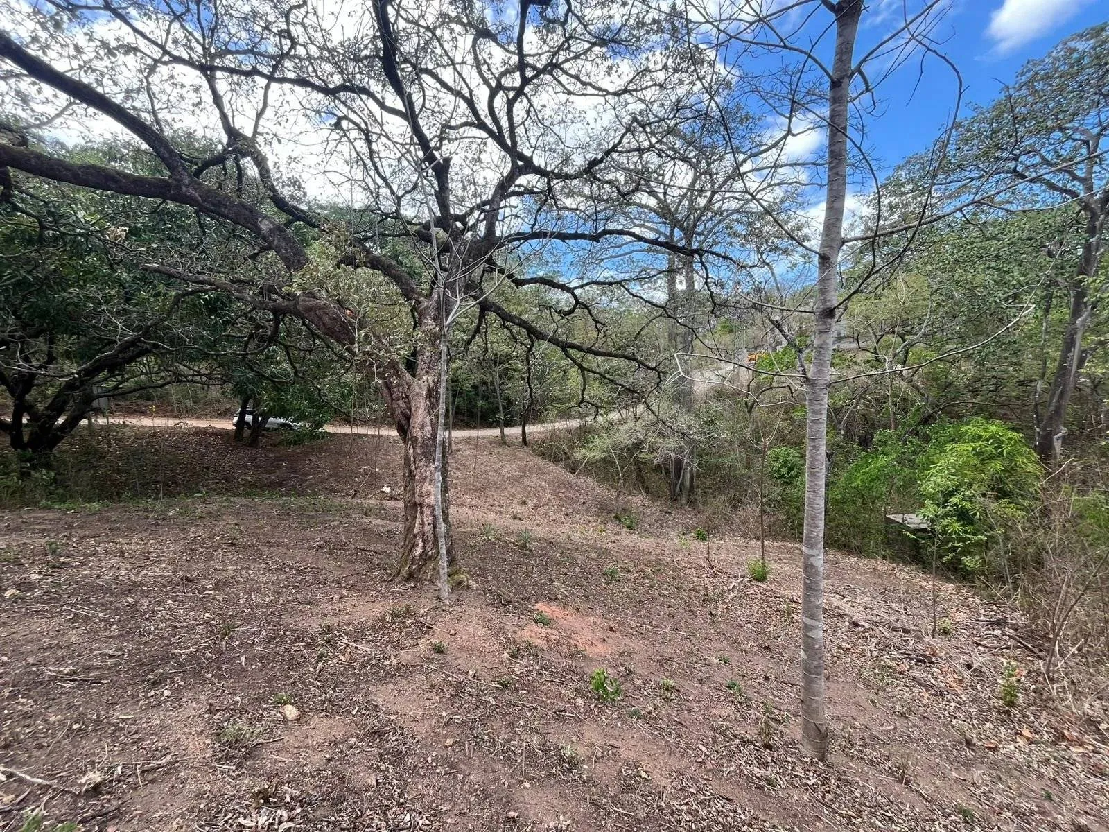 Investment Opportunity in Playa Grande: Build-Ready Lot