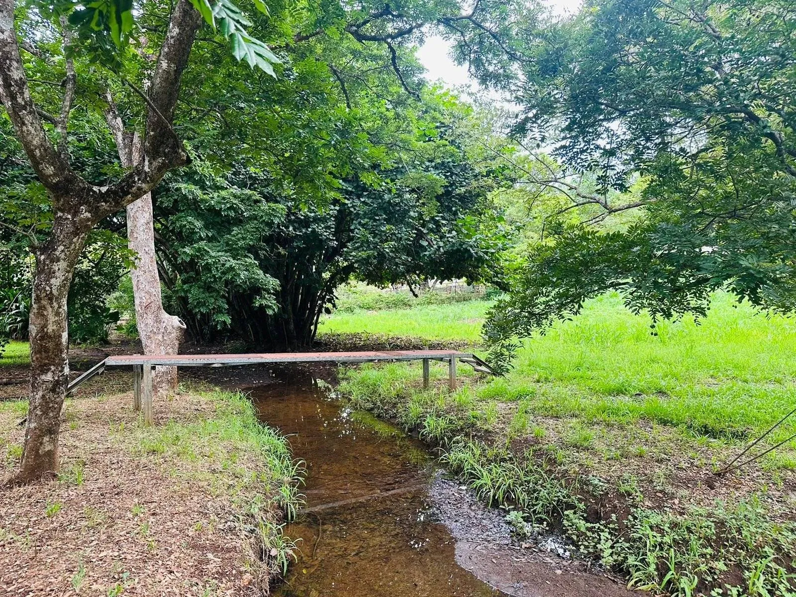 2 lots of 2000 m2 each, located in a private residence ready to build