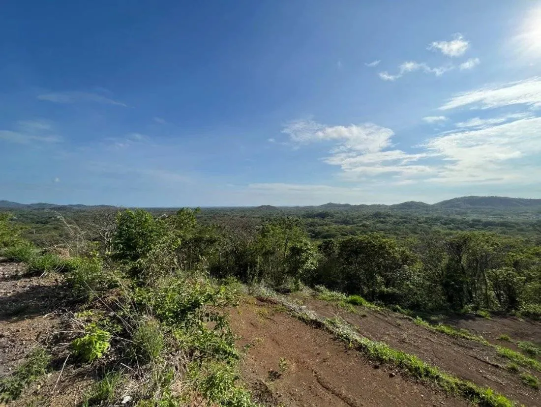 Terrain dans un quartier résidentiel très prisé de la région de Tamarindo