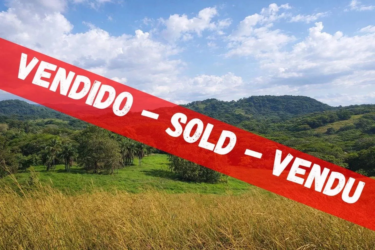 SOLD - 78,203 sqm finca (property) with panoramic views over the valley and the sea