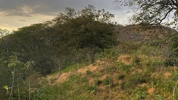 EXCLUSIVITY - Building land (2,579 m2) - 3 km from Playa Grande - North Tamarindo