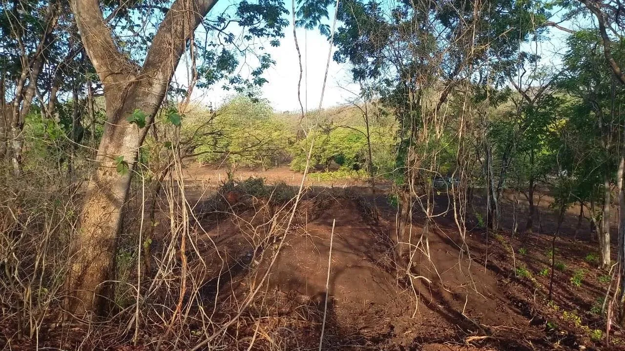EXCLUSIVITY – 1500 m2 lots 1.5 km from Playa Grande