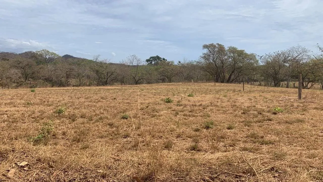 Great opportunity! 5000 m2 in Avellanas, just steps away from the beach.