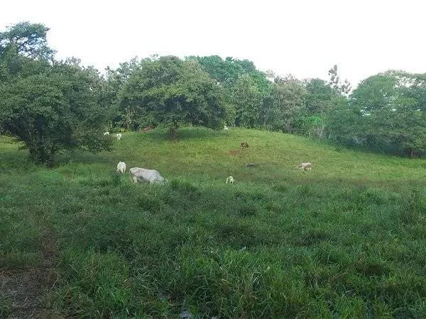 EXCLUSIVITY - 14 hectares finca (property)
