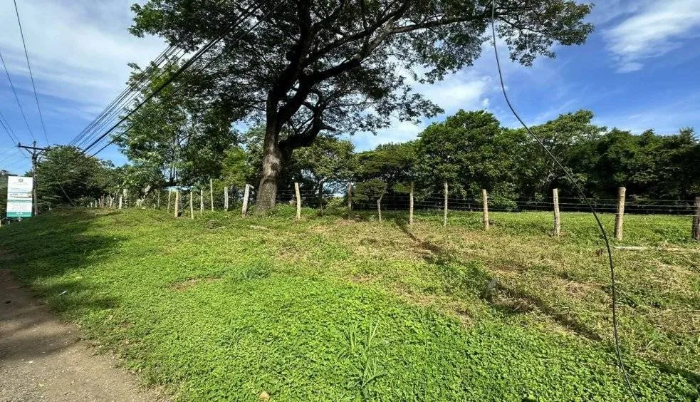 Commercial Lots on the Main Road – Tamarindo, Guanacaste