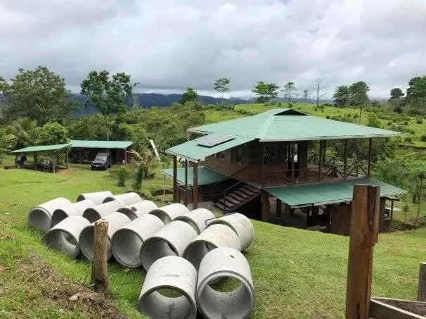 Organic Cocoa Farm – 40 Hectares perfect for investors