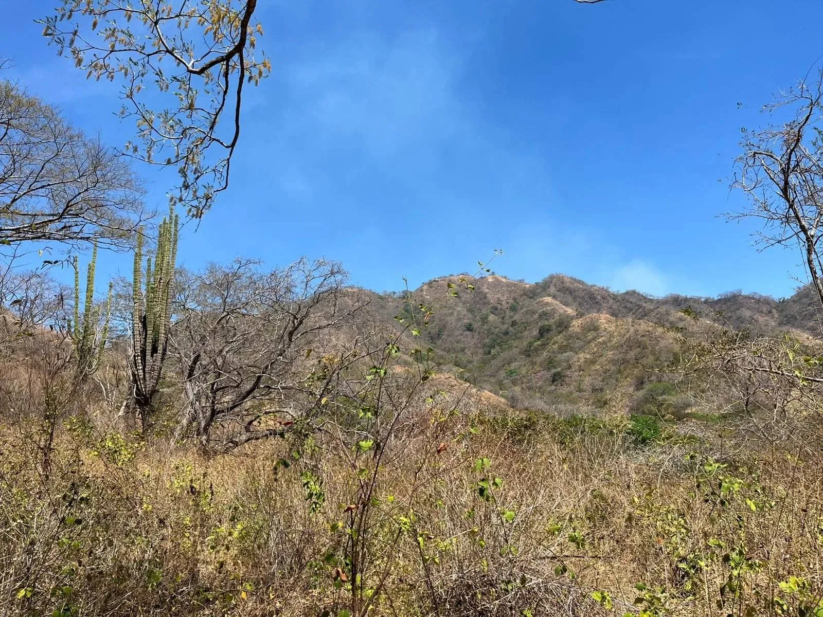 Propriété de 142 hectares | 350 acres – Cartagena, Santa Cruz