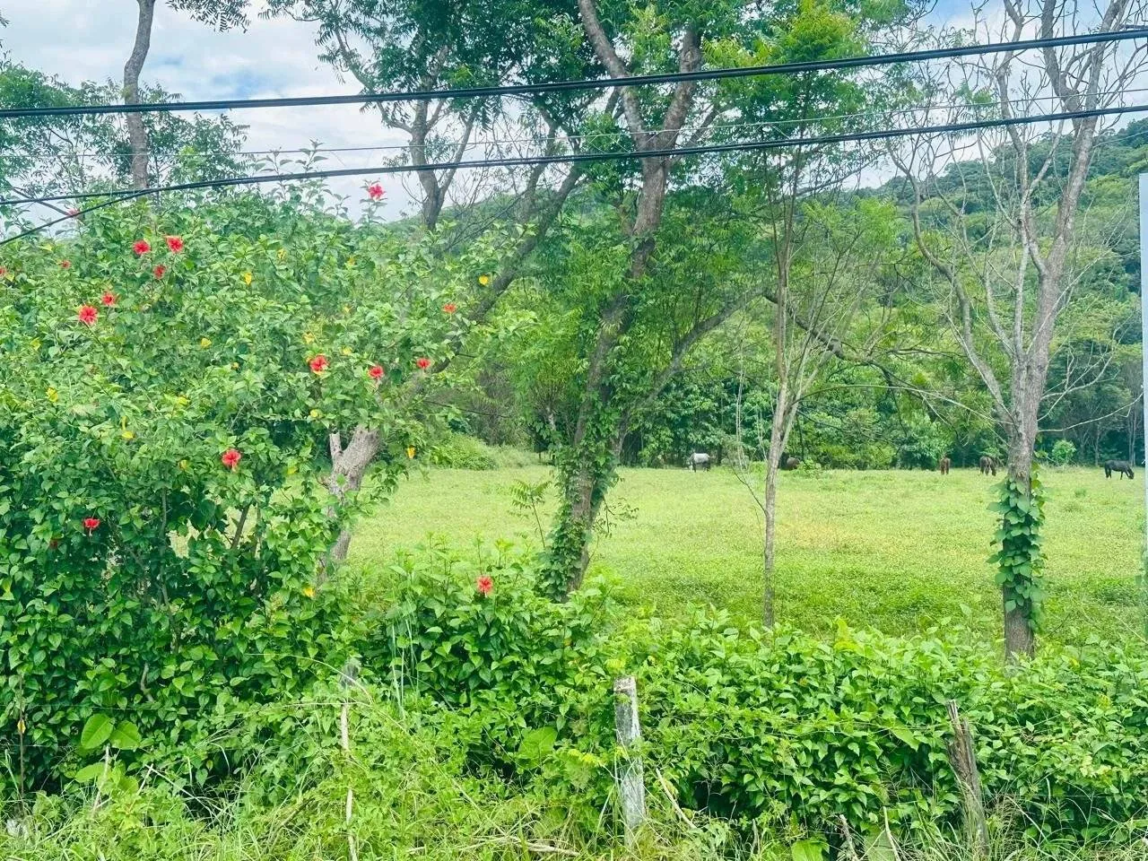 EXCLUSIVITÉ - Terrain Commercial et Résidentiel à Vendre – 2 Hectares en Localisation Stratégique.