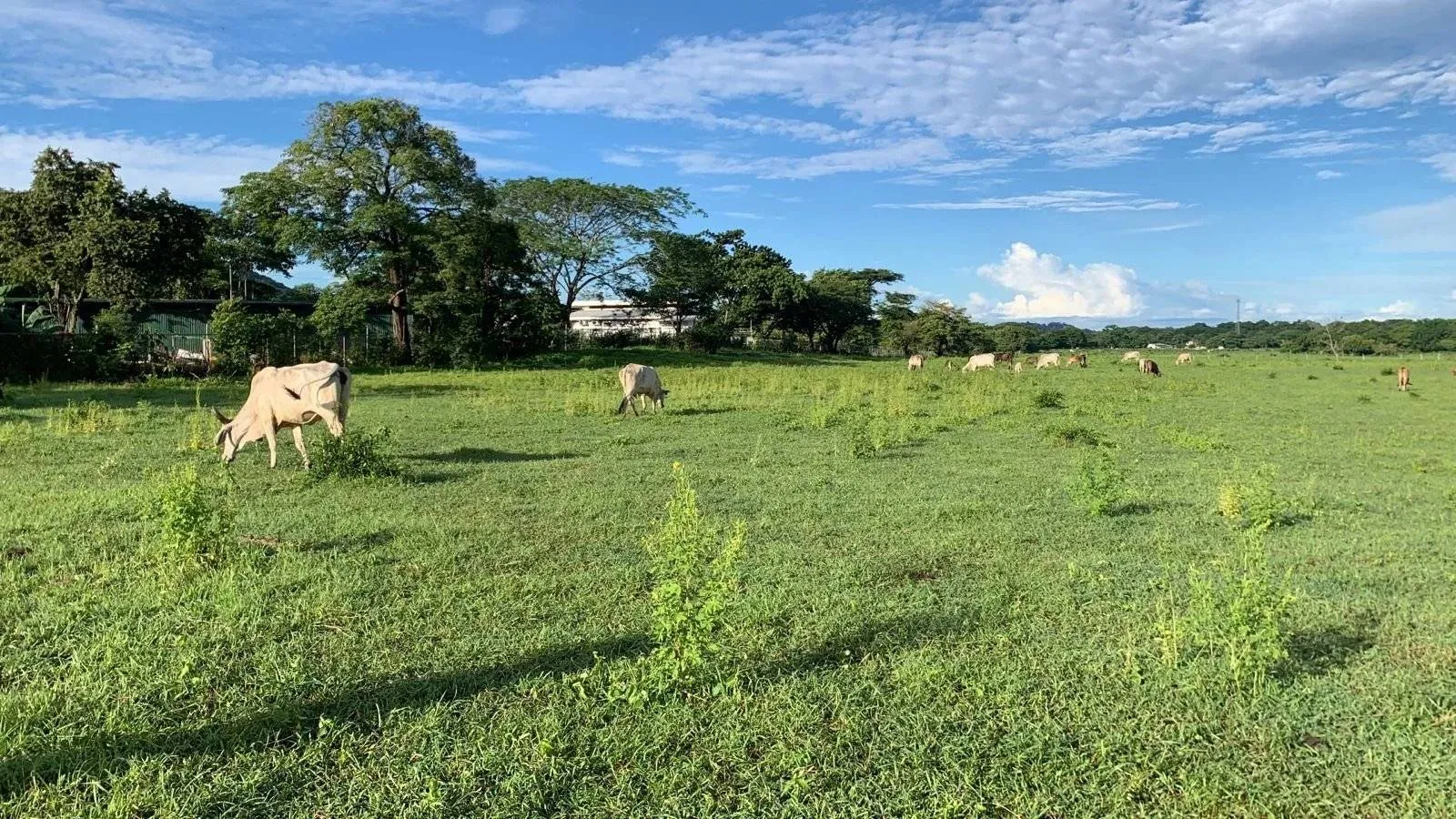 Large estate for sale in La Garita Nueva – Strategic location with great potential for residential, commercial, or recreational development.
