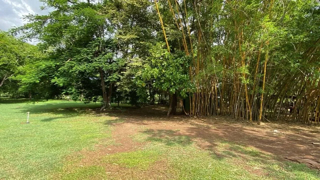 Exceptional 607 m² Lot in Salinitas, Playa Grande — Private Well and Year-Round Water, an Absolute Rarity