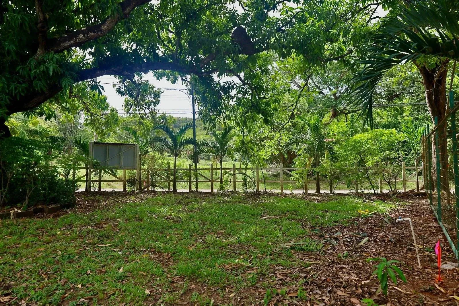 5 Lots Available in Salinitas, Playa Grande, Costa Rica — Build-Ready, with Water and Electricity, an Incredible and Unbeatable Opportunity in the Region