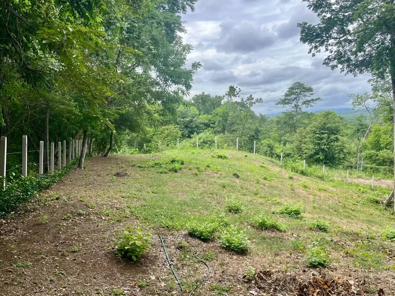 1,625 m² Residential Lot with Water Meter & Approved Building Permit - 5 Minutes from Playa Grande