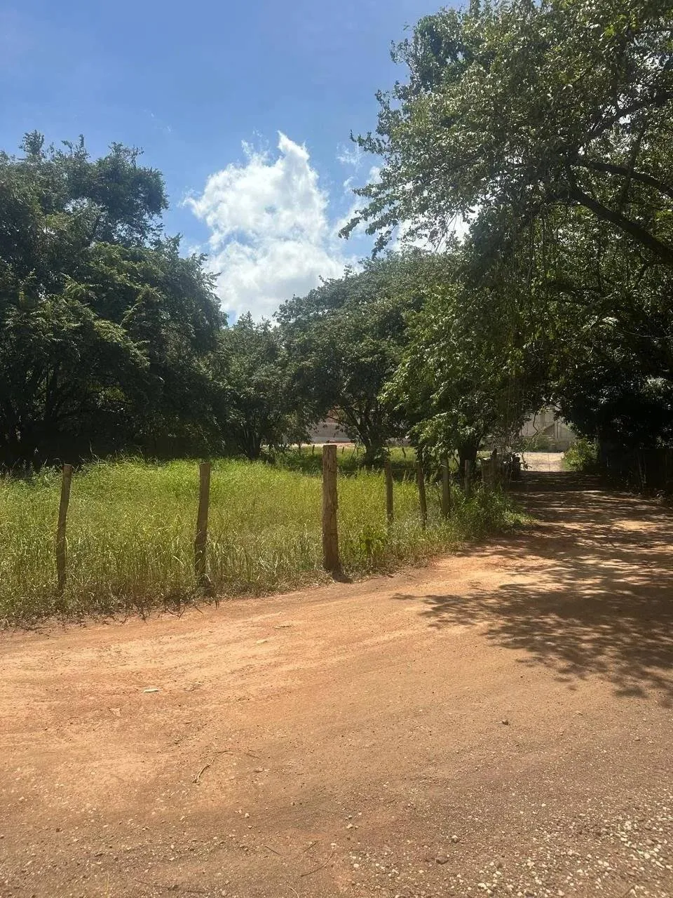 Lote Comercial de 1.423 m² com Zoneamento de Uso Misto | Localização Estratégica de Investimento