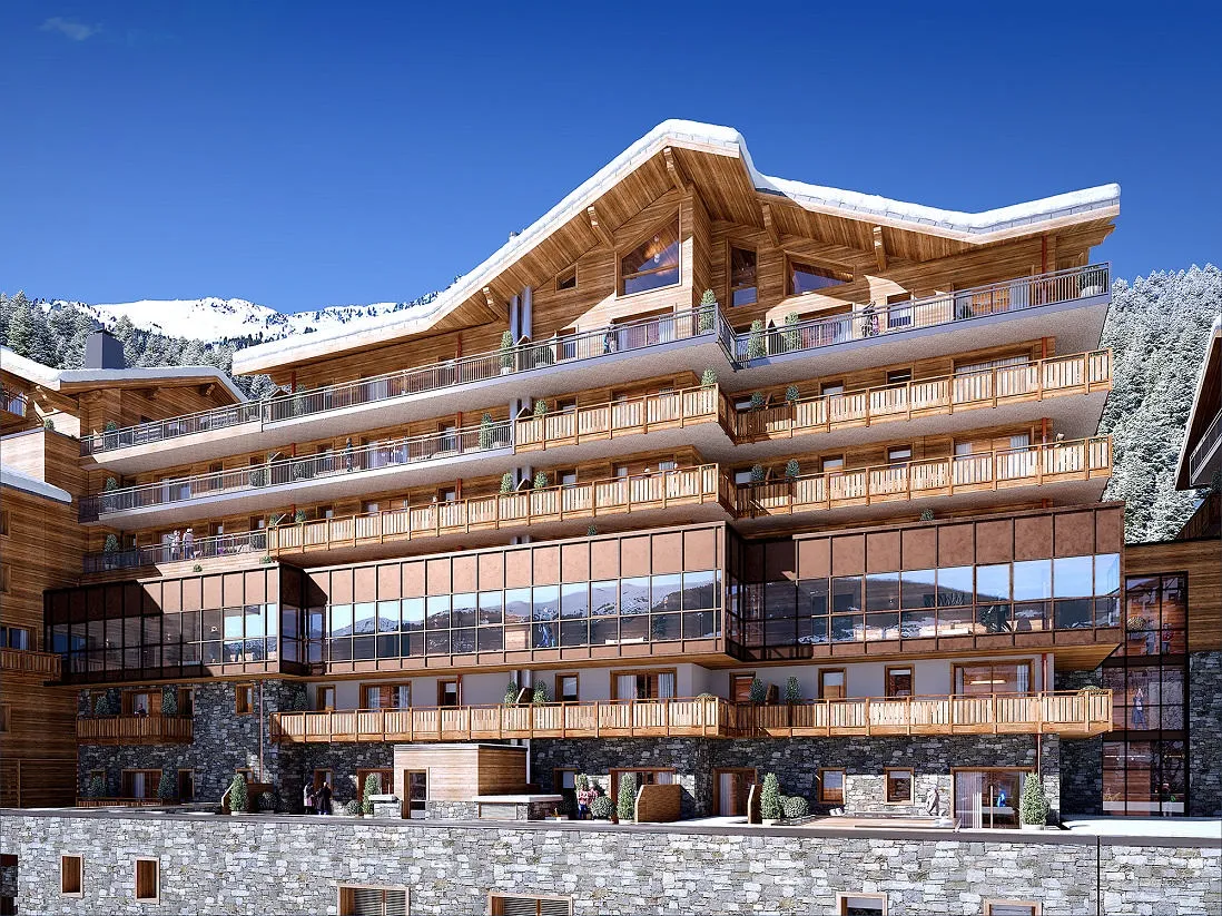2 bedroom Ski Apartment near LA TANIA, Savoie