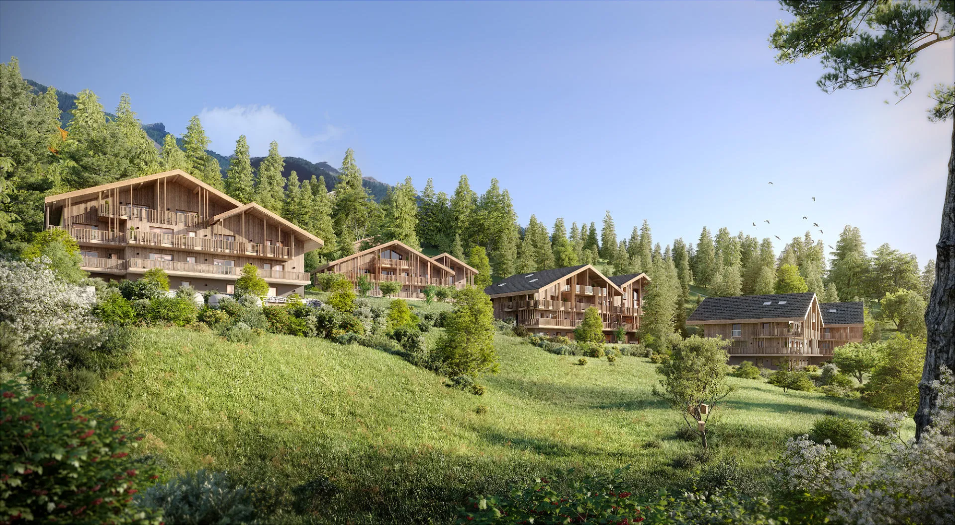 1 bedroom Ski Apartment near SAMOENS, Haute-Savoie