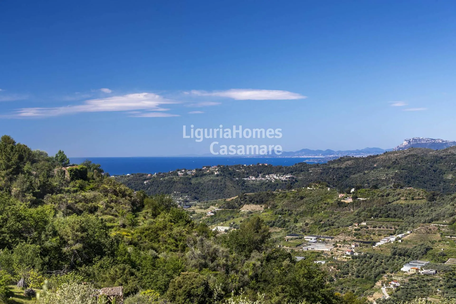 Villa rural en venta en Soldano con vistas al mar y un gran olivar llano.