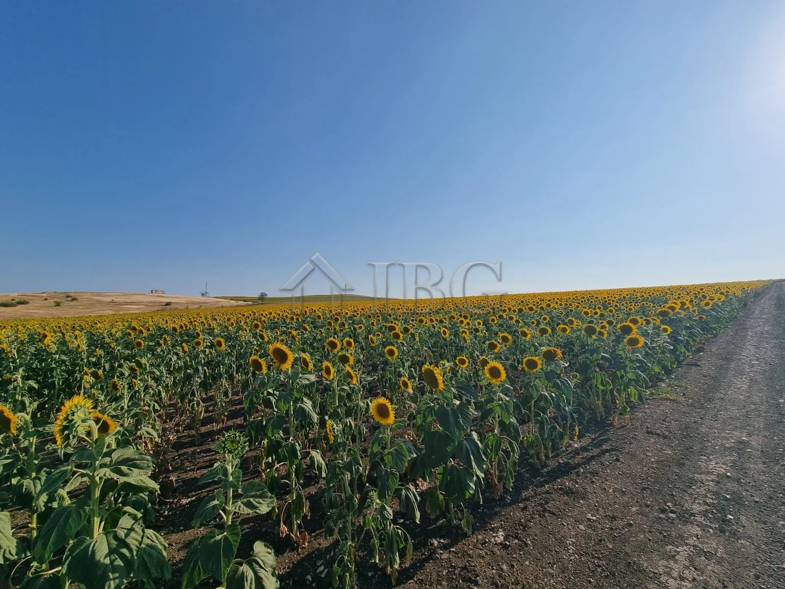 Grande Terreno Edificabile in Vendita a Tunkovo, Regione di Burgas, Bulgaria