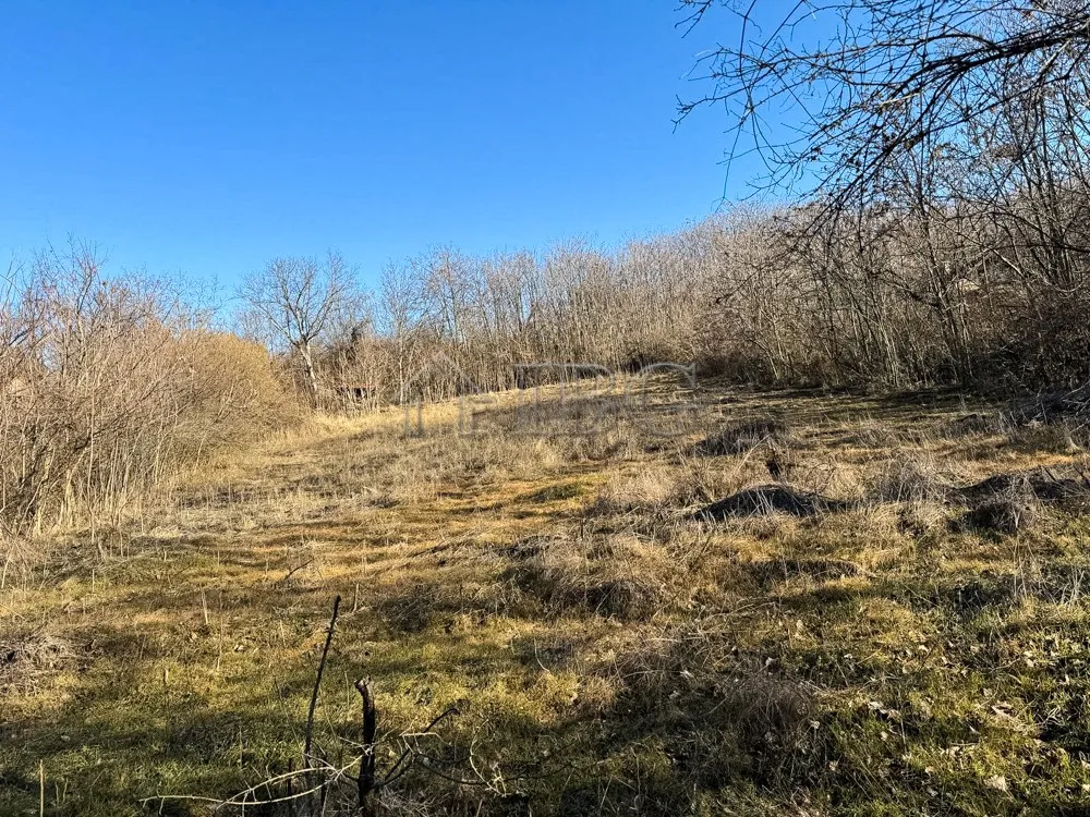Parcela de 1819 m² en Venta en un Área en Desarrollo y Familiar de Ruse