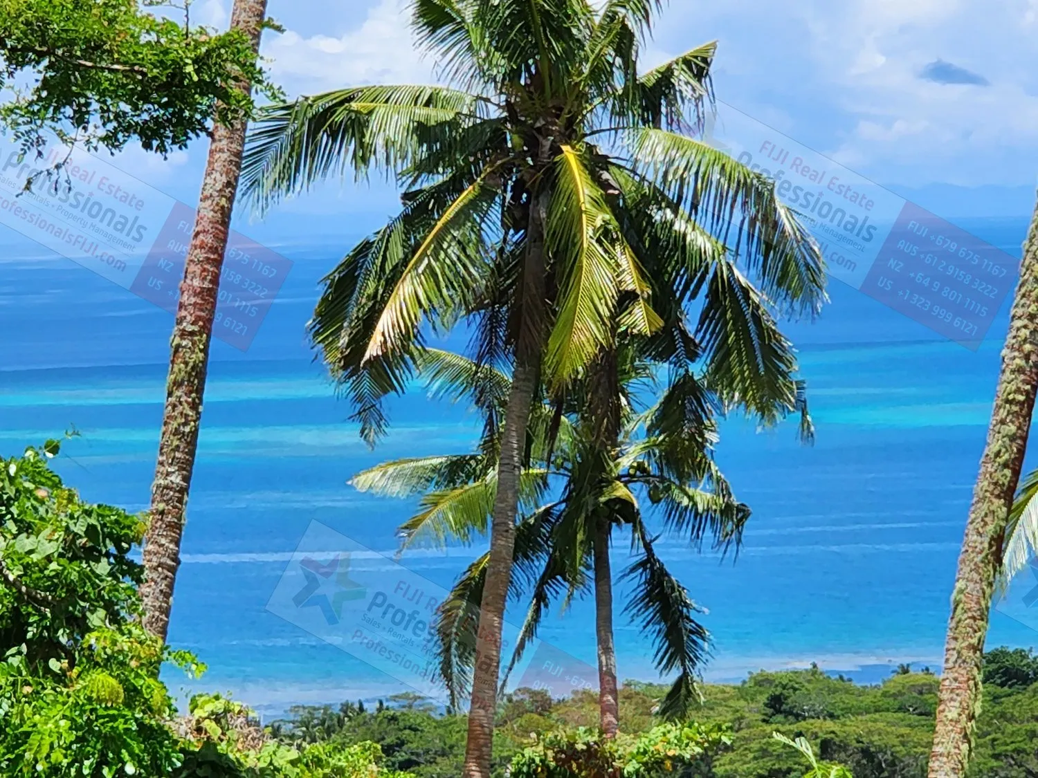 DOIS INCRÍVEIS LOTES PARA CASA COM VISTA PARA O MAR DE 180 GRAUS NA ILHA DE KORO (FIJI) PRONTOS PARA CONSTRUIR