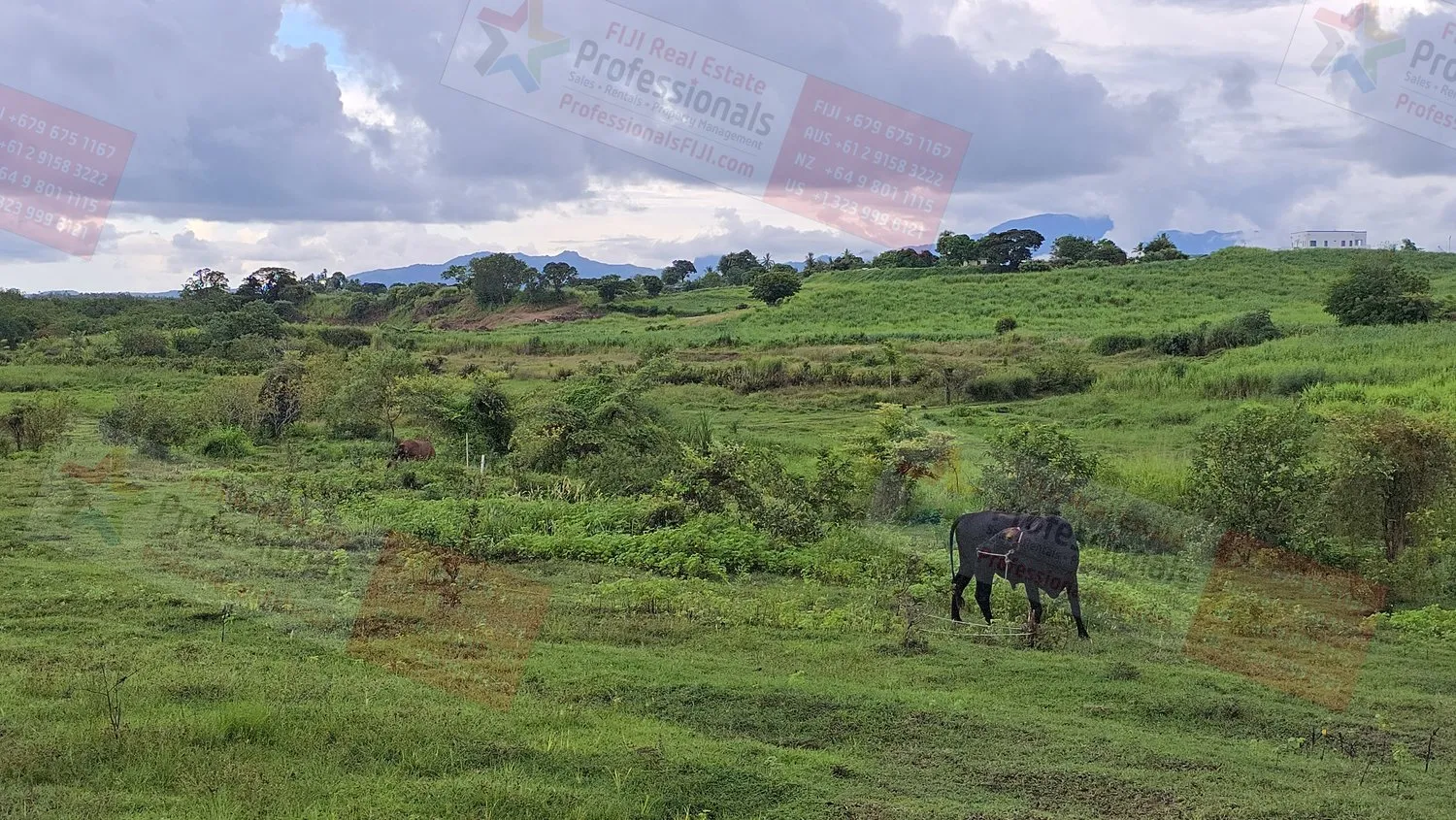 Haben Sie darüber nachgedacht, nach FIJI zu ZIEHEN? (Ja, Ausländer können Immobilien in FIJI kaufen!)