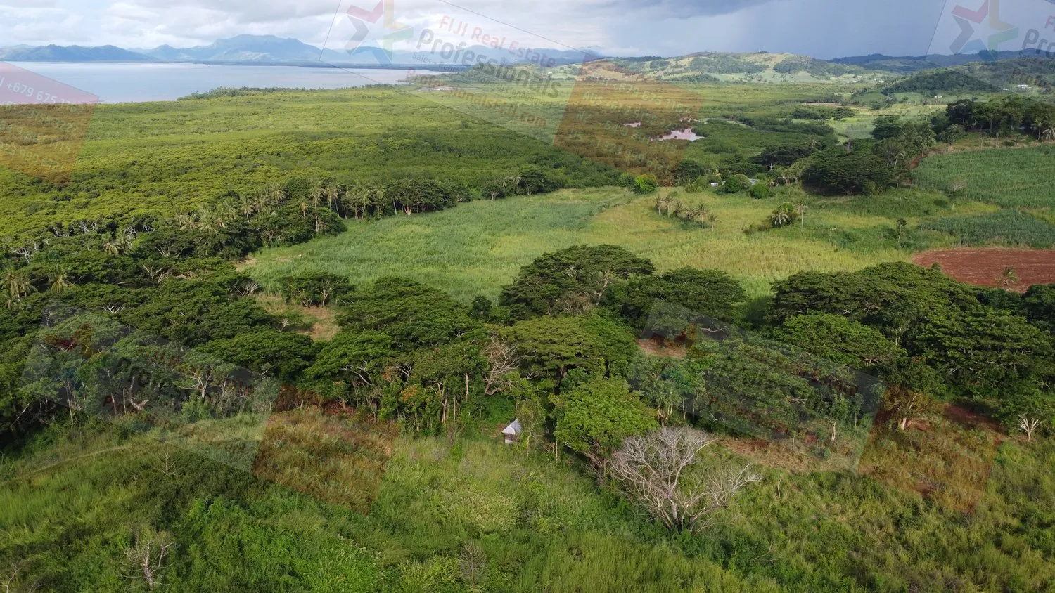 🌺 Il Tuo Sogno delle Fiji Inizia Qui — 19 Acri di Pura Possibilità vicino a Labasa Town nelle ISOLE FIGI