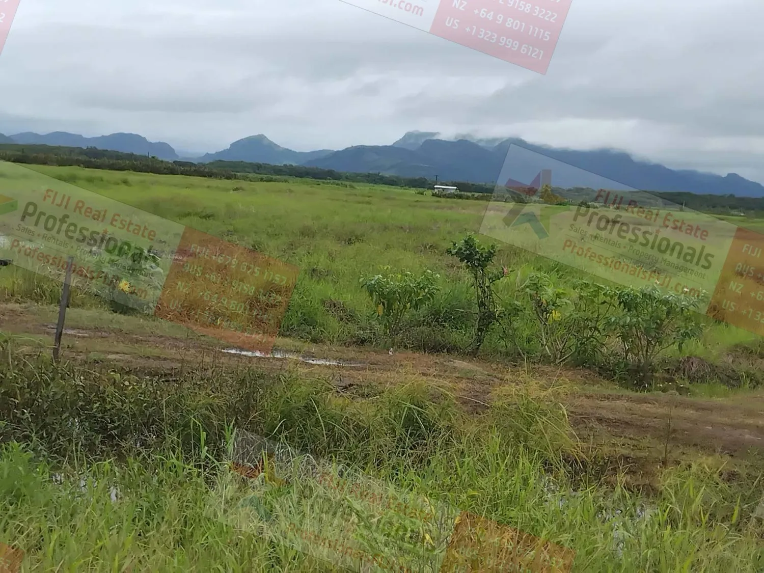 26 Acres Productive Farmland plus 3-Bedroom Home – A Farmer’s Dream Close to LABASA Town
