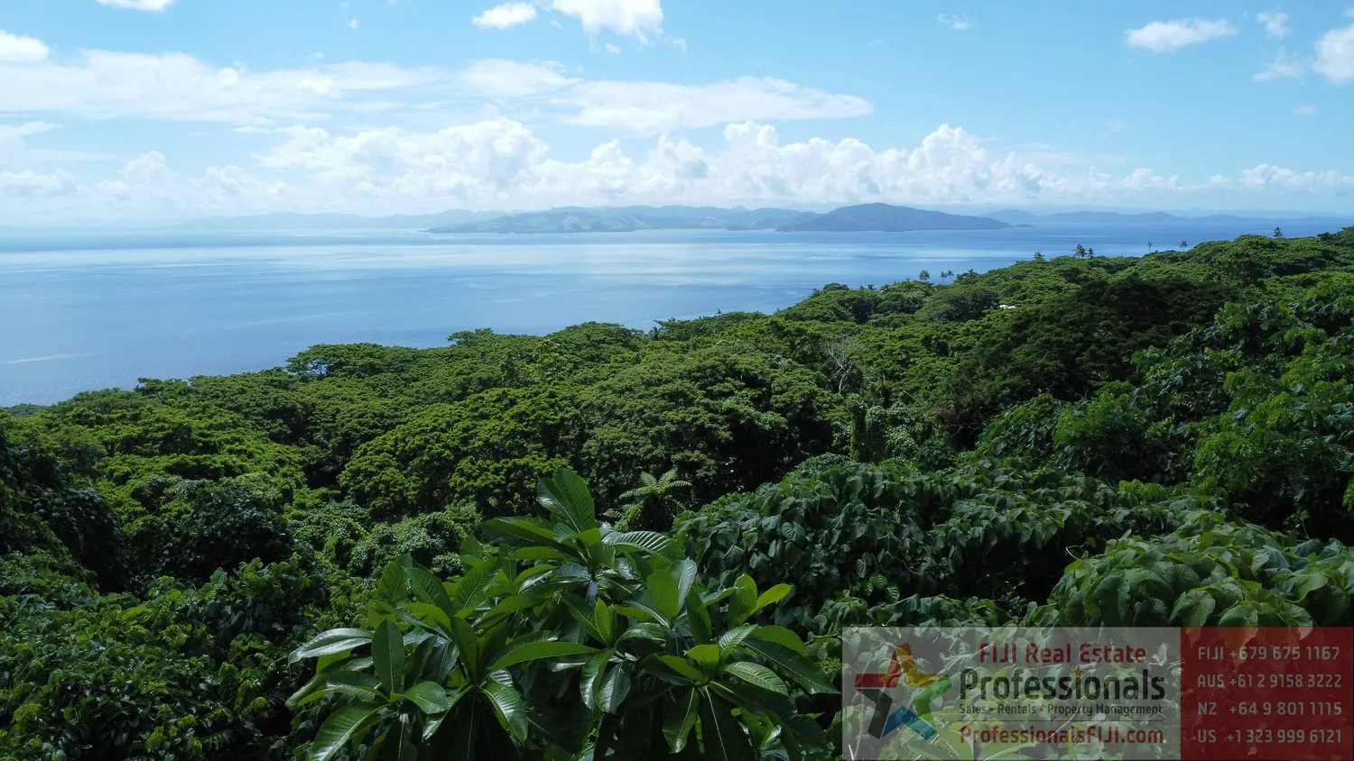 Viste Massicce Da Questo Lussureggiante Lotto Francamente Posseduto Sull'Isola Di Taveuni! 🌅