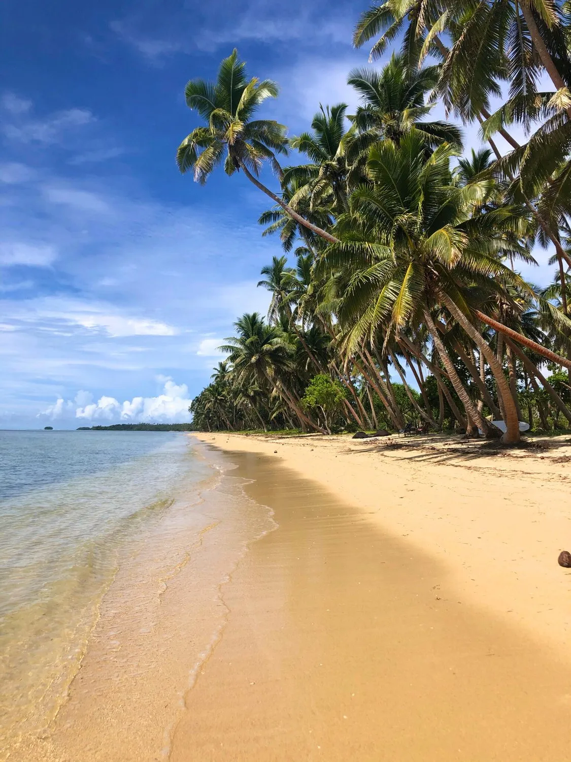¡VIVE EL ESTILO DE VIDA DEFINITIVO FRENTE AL MAR en SAVUSAVU, ISLAS FIJI!