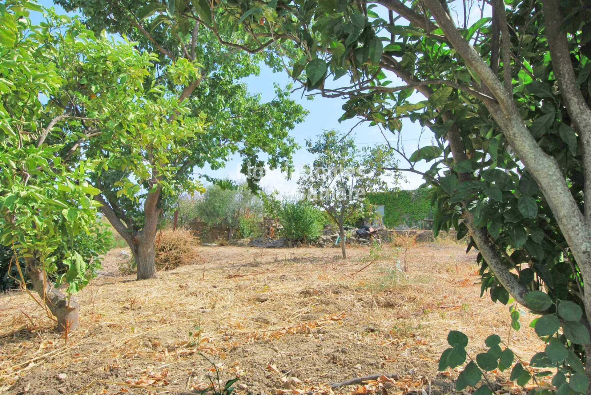 Santo Stefano al Mare'de satılık arsa.