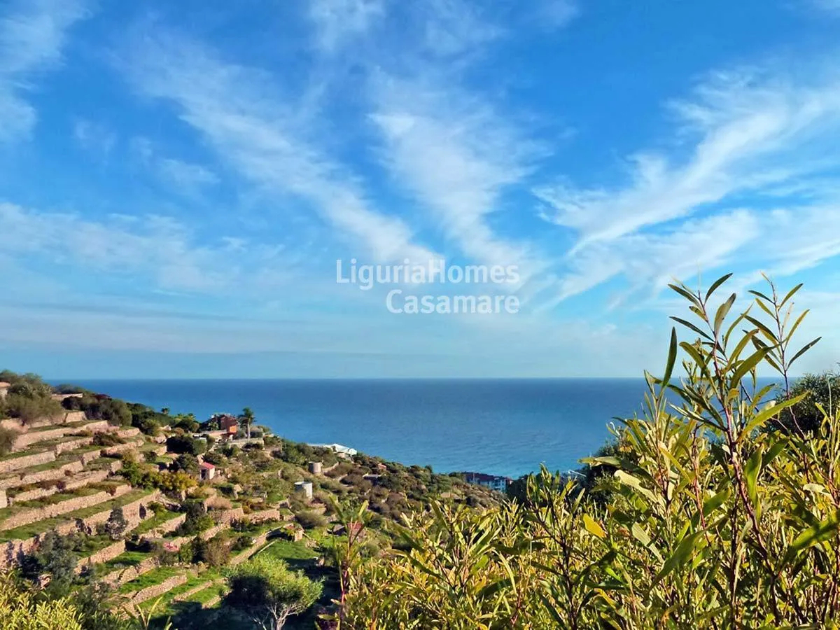 Rural property for sale in Bordighera, in an excellent location with stunning sea views.