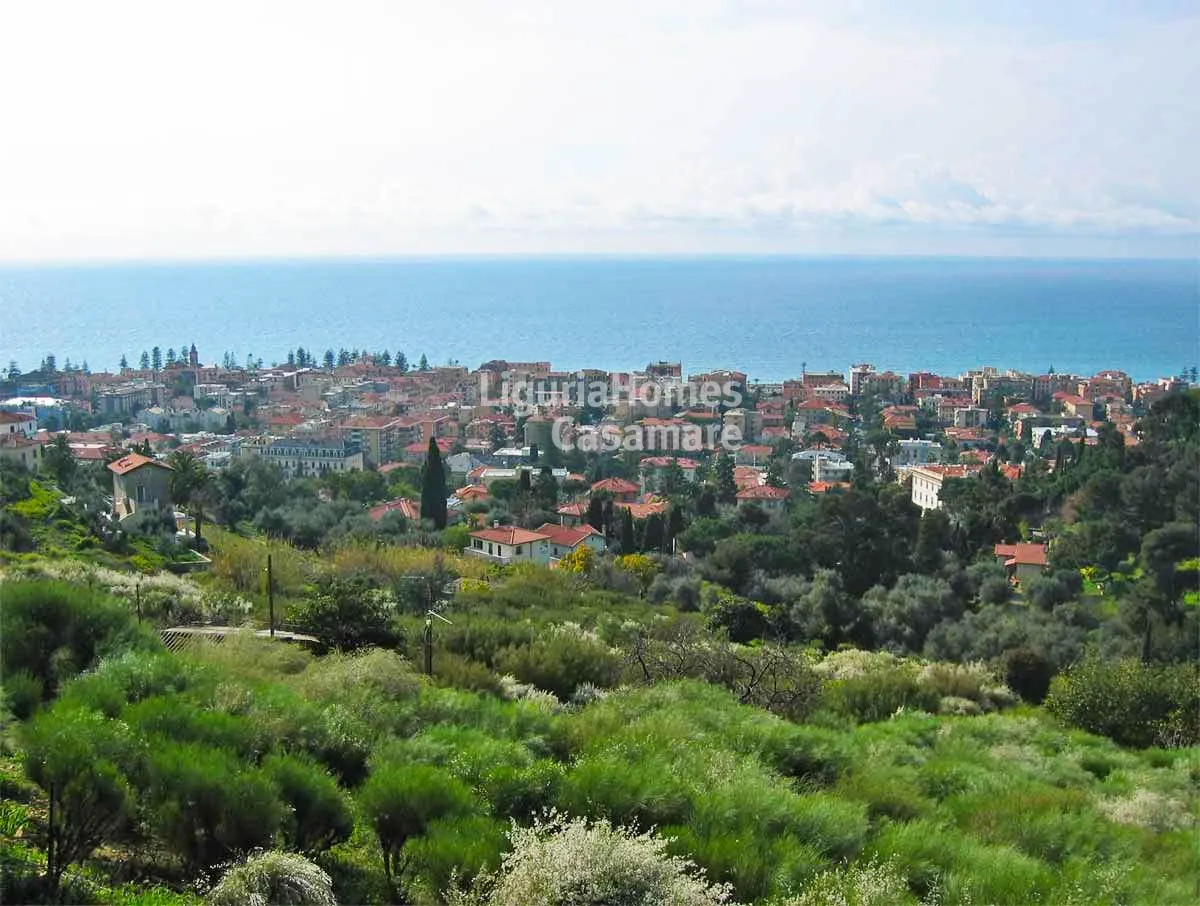 Magnificent super panoramic land plot for sale in Bordighera with approved project.