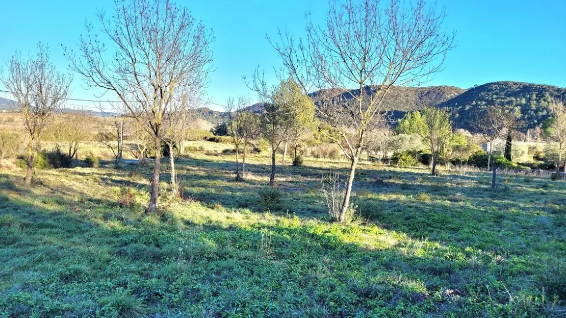 Casa em Saint Chinian