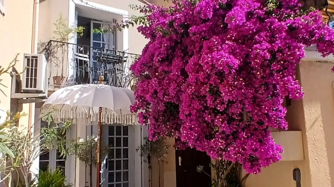 Casa de 2 Quartos em Meze