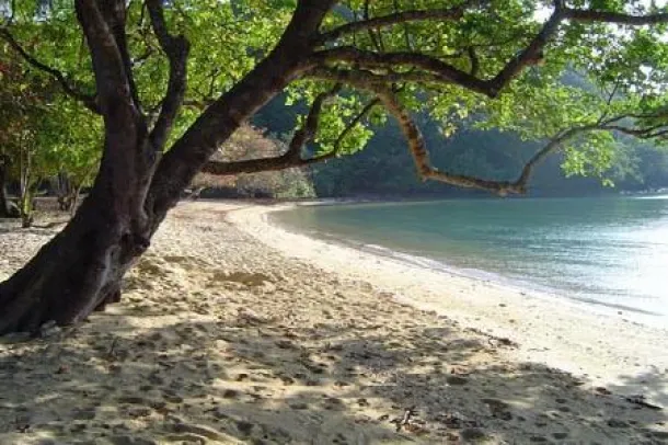 20 Rai unberührtes Strandgrundstück auf Koh Yao Noi