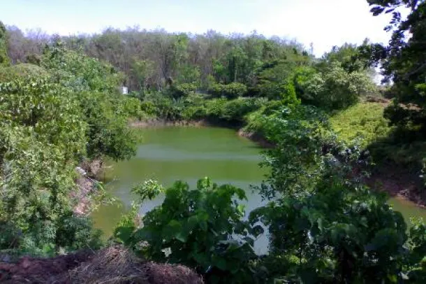 Over 9 Rai of Land For Sale within Natural Surroundings at Thalang, Phuket