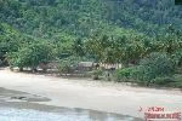 25.5 Rai unberührtes Land mit 70m Strandfront auf Koh Lanta Yai