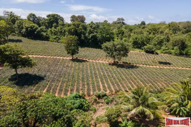 7 Rai (11.200 m2) di Terreno a Mai Khao in Vendita con Viste Spettacolari e Pendenza Dolce - Suddivisione Possibile da 2 a 7 Rai