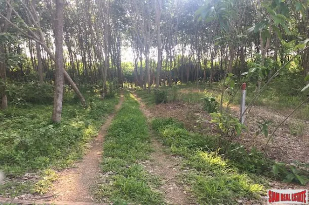 Un Rai di Terreno con Piantagione di Gomma in Vendita Vicino ai Servizi a Sai Thai, Krabi