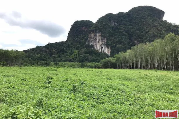 Oltre 16.000 mq di Terreno in Vendita a Nong Thaley, Krabi