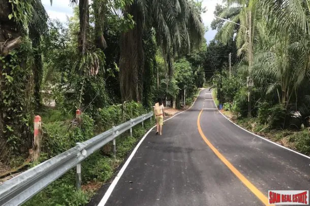 Dieci Rai + Terreno con Piantagione di Palme e Vicino a Phang Nga Town