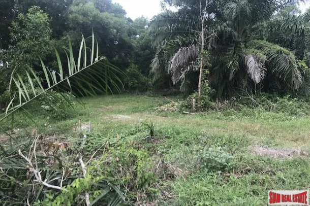 Ampio Terreno a Phang Nga nella Città di Khok Kloi e a soli 5 Minuti a Piedi dalla Spiaggia di Natai