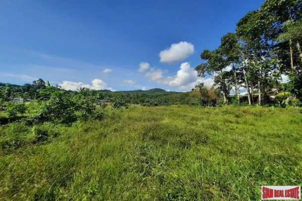 Plus de Deux Rai de Terrain Plat à Vendre à Ao Nang, Krabi